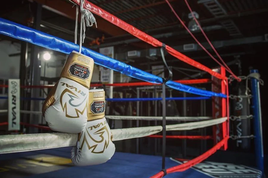 ▷ MEJORES Guantes de Boxeo 2024