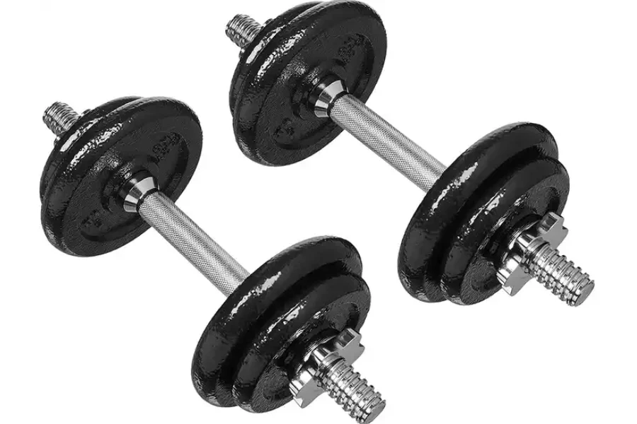 Ensemble d'haltères pour la musculation avec 4 plaques de poids de 20 kg