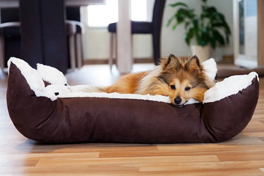 dog bed