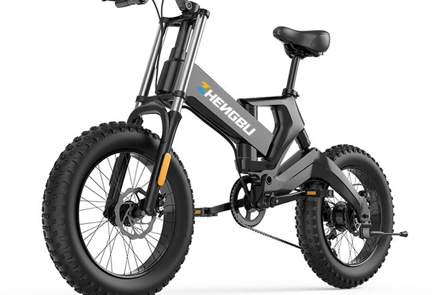 electric hybrid bike