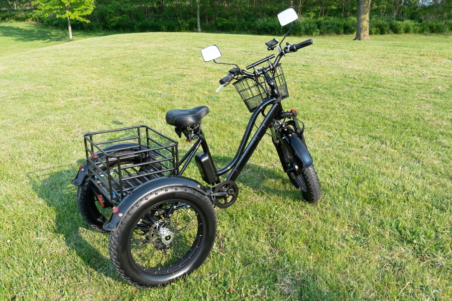 دراجة ثلاثية العجلات الكهربائية