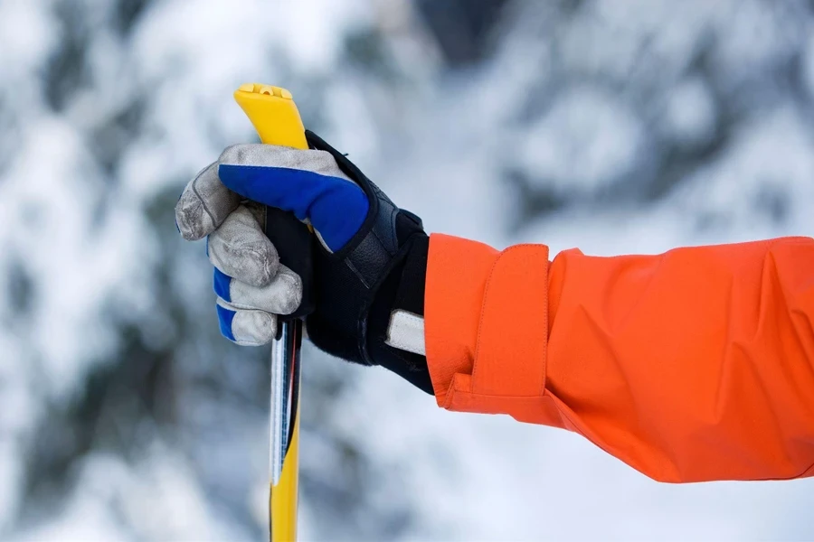 tenir le bâton de ski