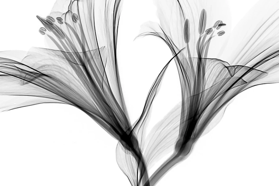 Inspiración de diseño floral de dibujo lineal para cortinas.