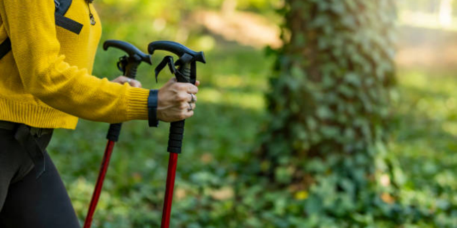 rustic wholesale walking sticks        
        <figure class=