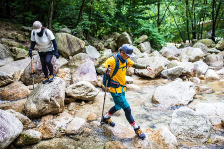 🥇Los Mejores Bastones Marcha Nórdica 2024 - naturexploring