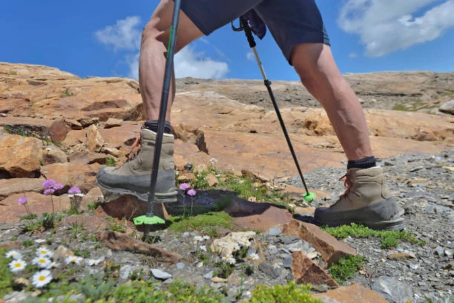 ALDORANDO Bastones Senderismo telescopicos -Palos Trekking, Bastones  Trekking Plegables Resistente y Ligero de Aluminio 7075- Mango De Corcho -  Trail