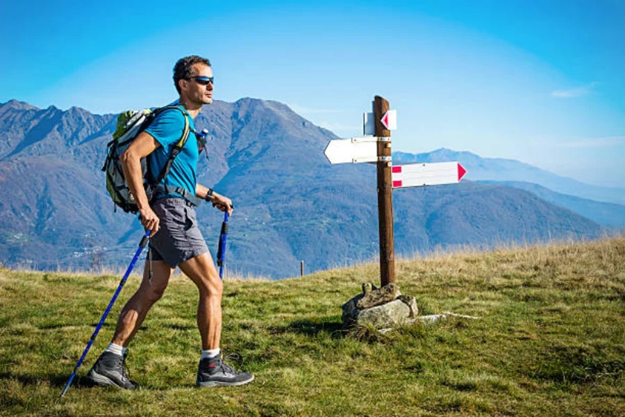 ALDORANDO Bastones Senderismo telescopicos -Palos Trekking, Bastones  Trekking Plegables Resistente y Ligero de Aluminio 7075- Mango De Corcho -  Trail