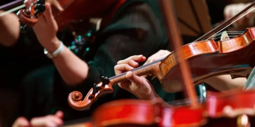 5-amazing-stringed-instruments-trends