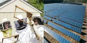 5-top-sustainable-trends-to-watch-for-businesses-