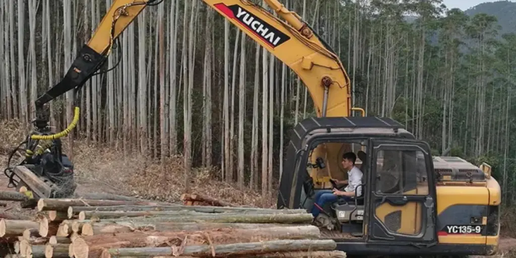 6 wichtige Tipps zur Beschaffung der richtigen Holzfäller
