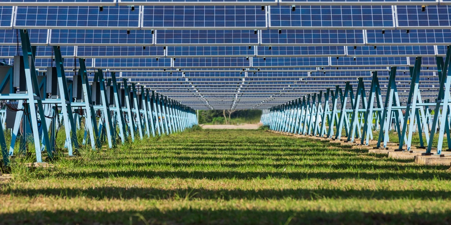 Paneles de células solares. Granja solar en el campo