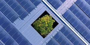 Solar panels structure on the factory metal roof structure and the tree in the middle