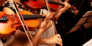 Violins
