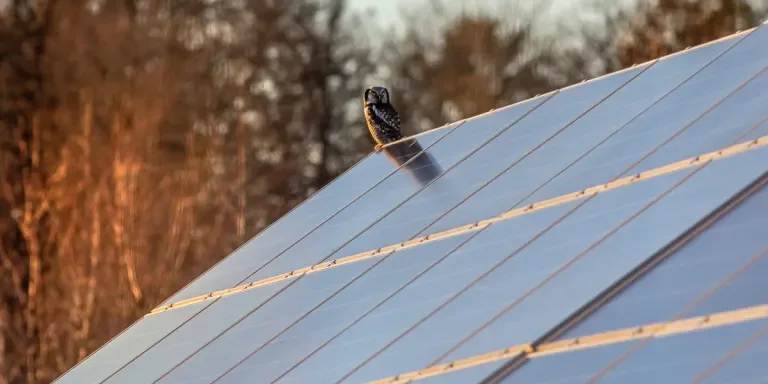 A close-up photo of solar panel roofing