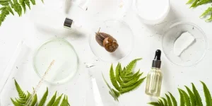 A giant snail Achatina and cosmetics
