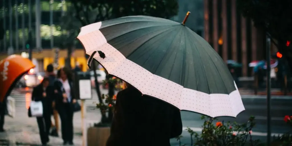 a-guide-to-choosing-the-best-umbrellas-for-2024-n