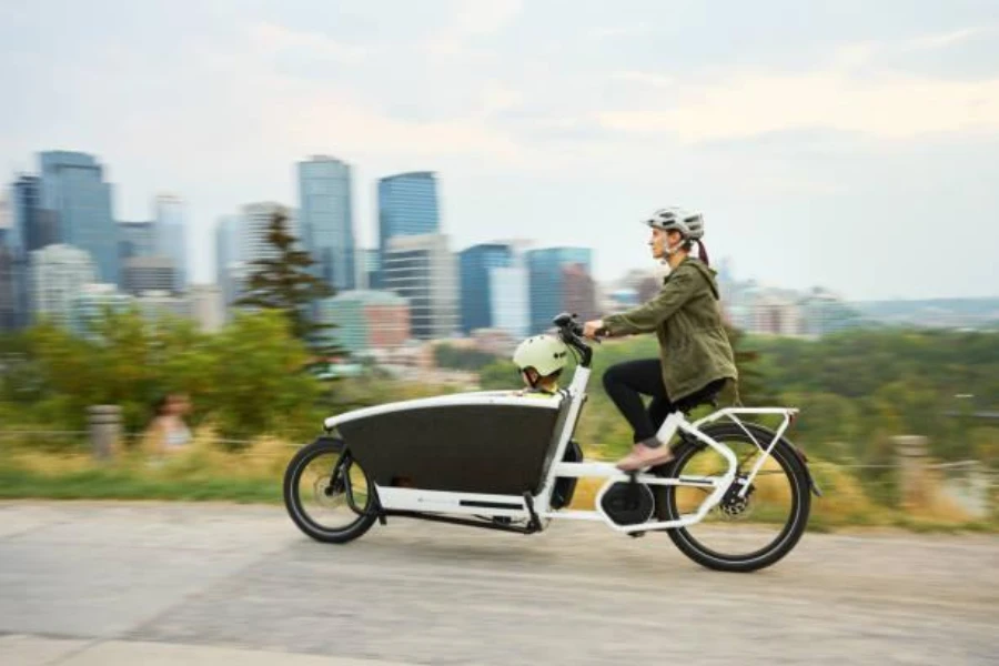 An electric bike with an extra cargo-carrying feature