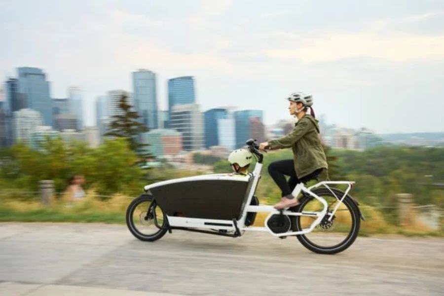 Una bicicleta eléctrica con función adicional de transporte de carga