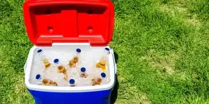 best-cooler-boxes-of-2024-a-comprehensive-guide-f