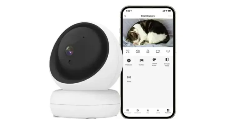 choosing-the-right-eye-for-your-pet-top-pet-monit