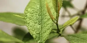 текущее-состояние-миров-устойчивое-развитие-