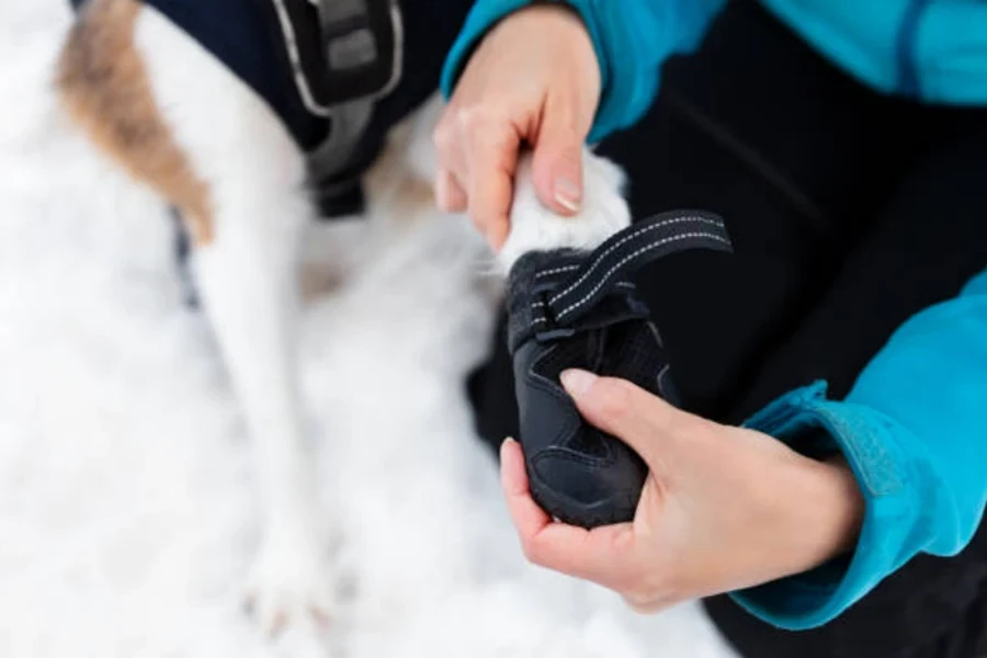 bottes de chien