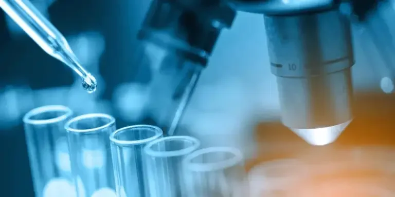 echa-proposes-to-restrict-three-benzotriazoles-un