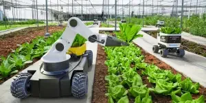 field-robot-sales-will-hit-11-billion-by-2030-say