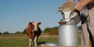 how-to-choose-right-pasteurizer