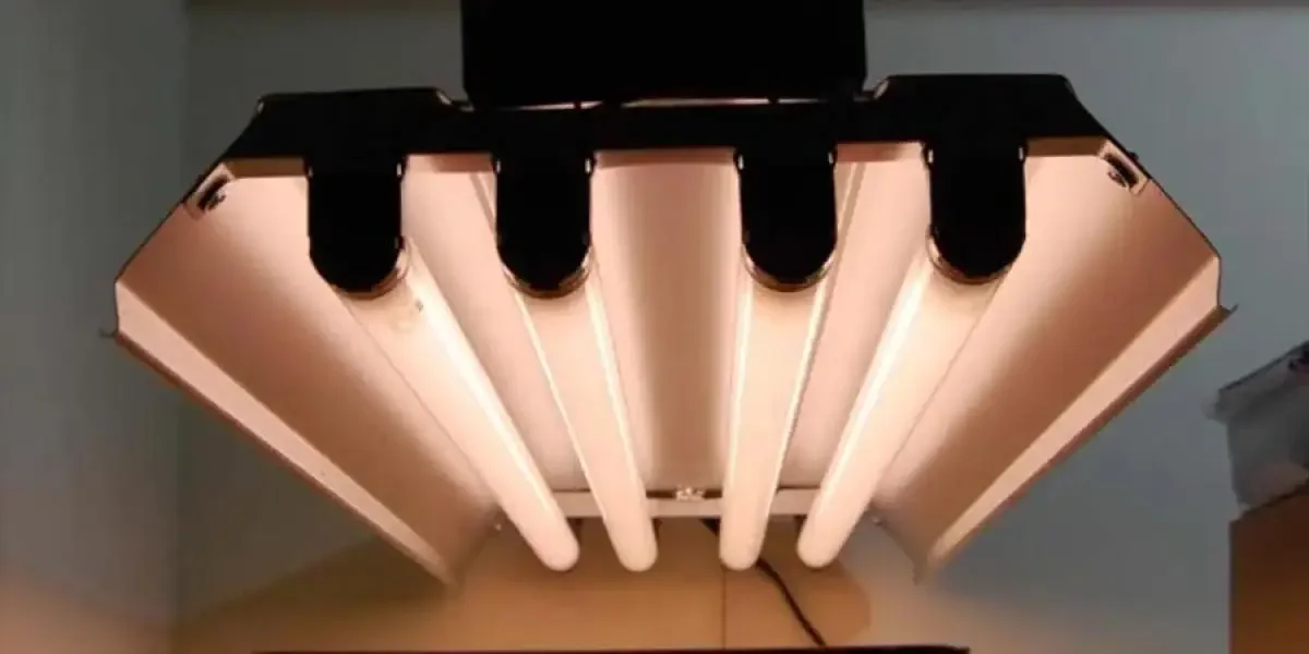 How To Choose the Best Indoor Grow Lights Reads