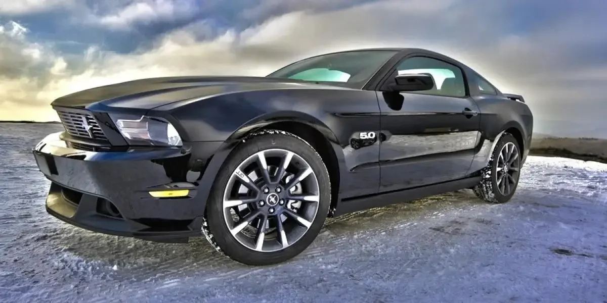 How to Paint a Plastic Car Bumper? Reads