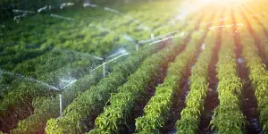 como selecionar sistemas de irrigação agrícolas ideais