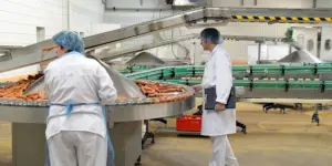 كيفية اختيار آلات صنع منتجات اللحوم المثالية