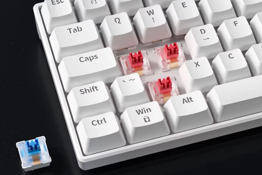 Guía de tipos de Interruptores para elegir el teclado ideal