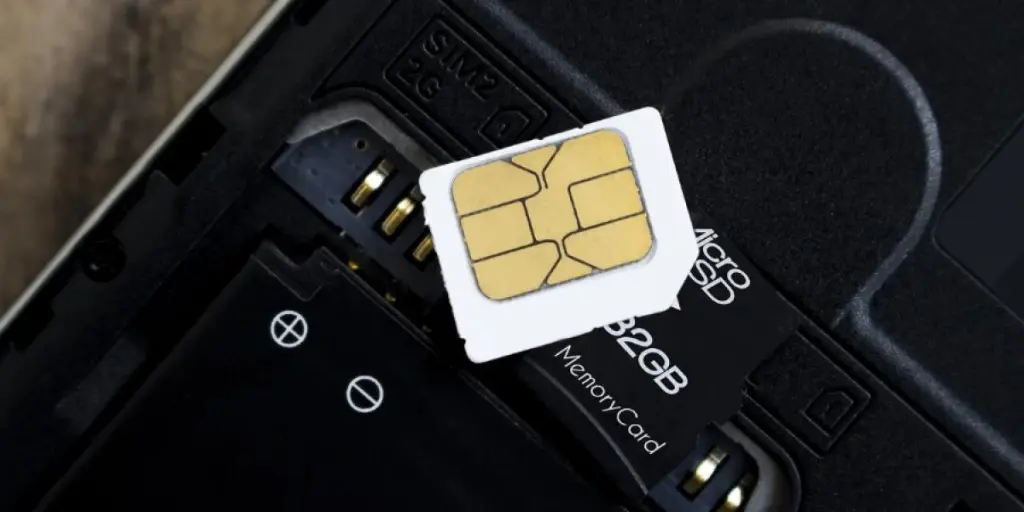 memory-card-market-evolution-navigating-2024s-glo
