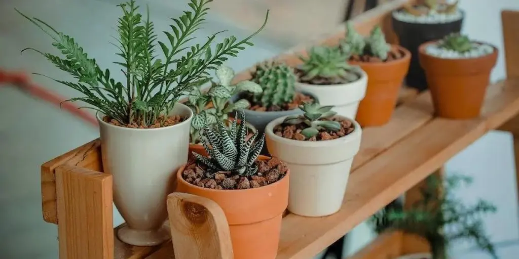 remarkable-must-have-garden-pots-planters-in-2022