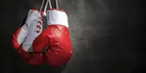 review-analysis-of-amazons-hottest-selling-boxing