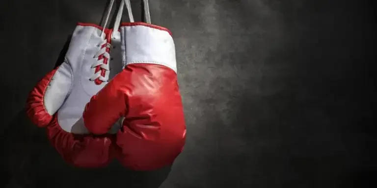 review-analysis-of-amazons-hottest-selling-boxing