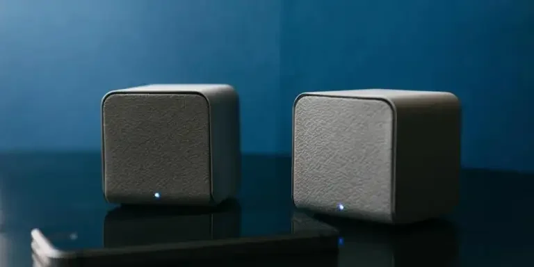 review-analysis-of-amazons-hottest-selling-speake