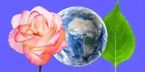 salesforce-net-zero-cloud-sustainability-made-easy