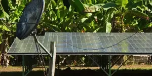 solargis-notes-potential-inaccuracies-in-tropical