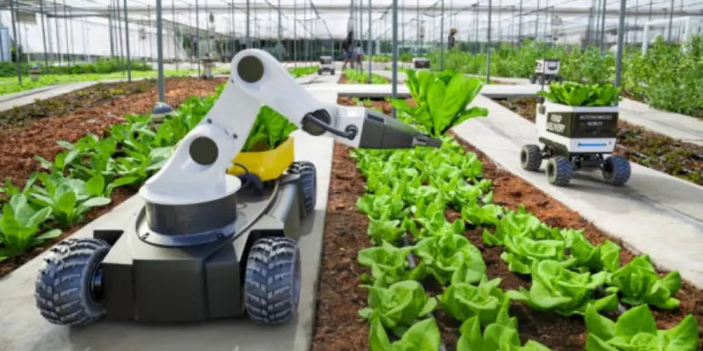المزايا الرئيسية لاستخدام الروبوتات الزراعية