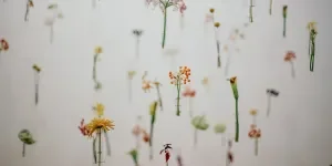 papel pintado