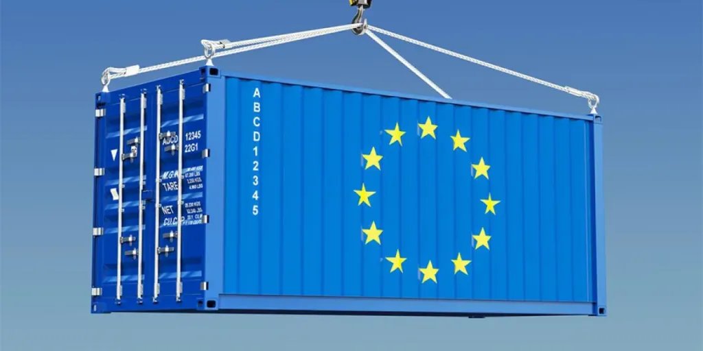 ваше-основное-руководство-пониманию-импорта-ЕС