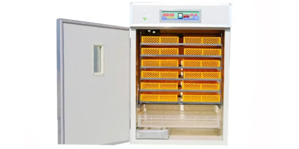 your-guide-to-buying-chicken-egg-incubators