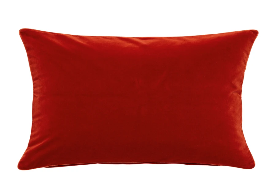 A cinnamon velvet cushion on a white background