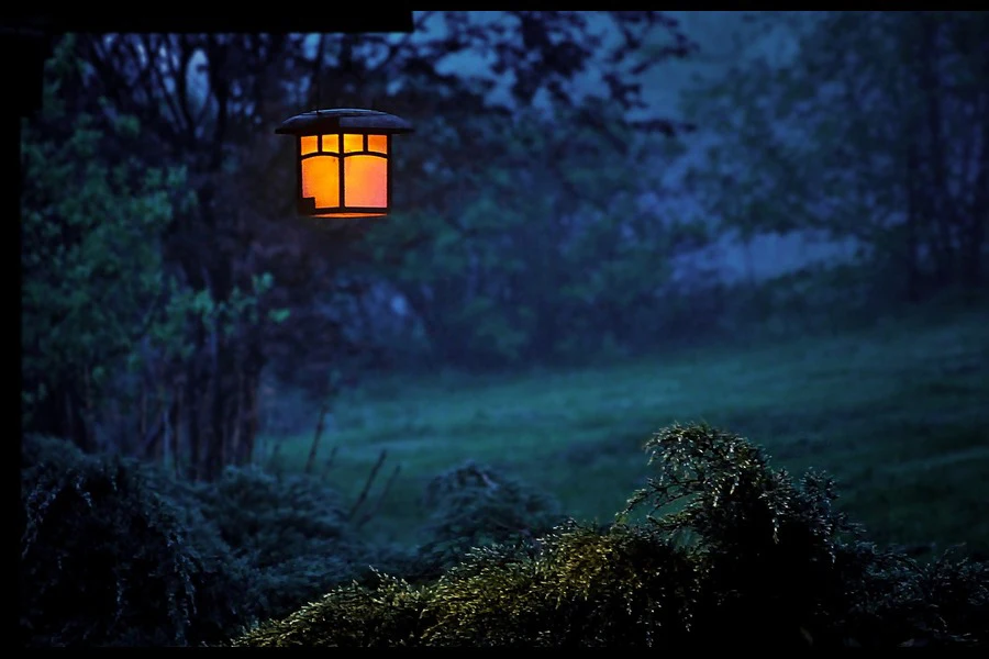 A lantern hanging on a tree in a garden