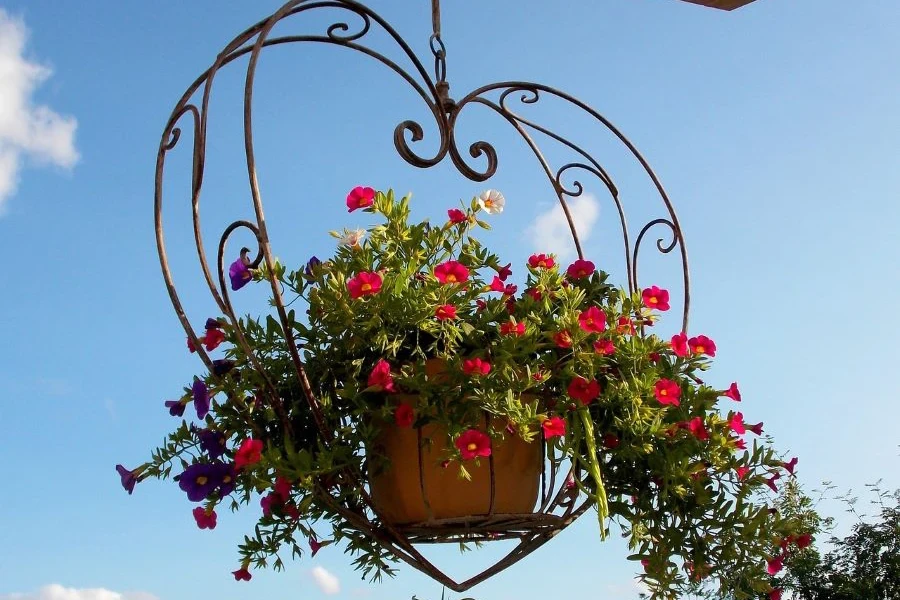 Une plante à fleur rouge dans une jardinière suspendue