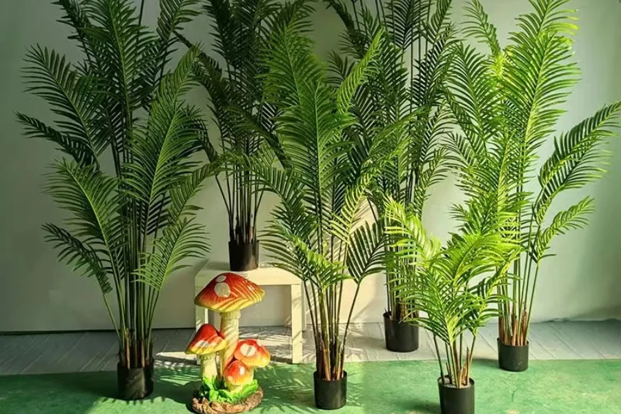 Areca palm trees are popular for indoor placement