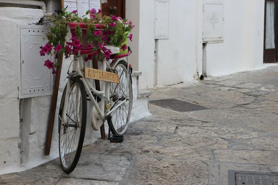 Flowers in a bicycle planter